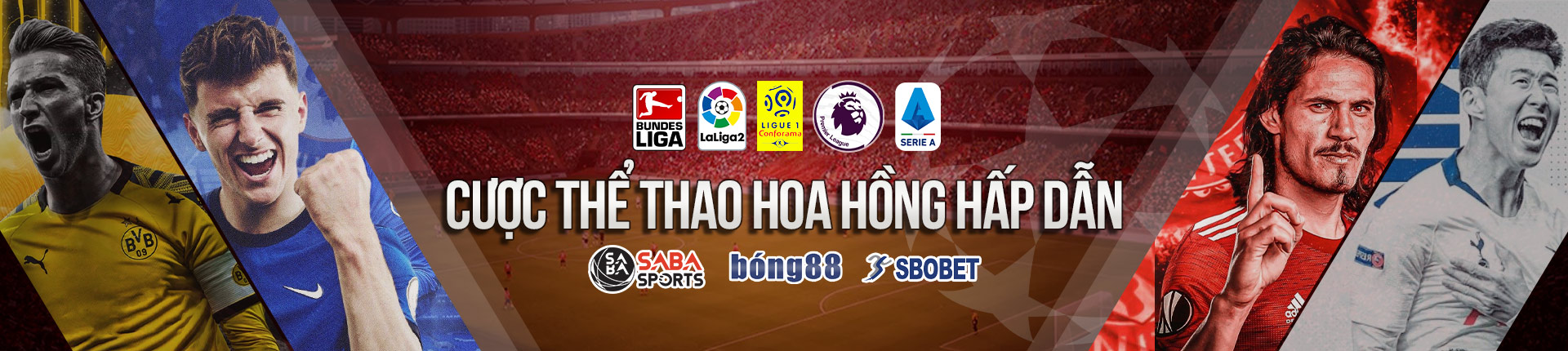 Lấy mạng bóng Bong88 hoa hồng 1.5%